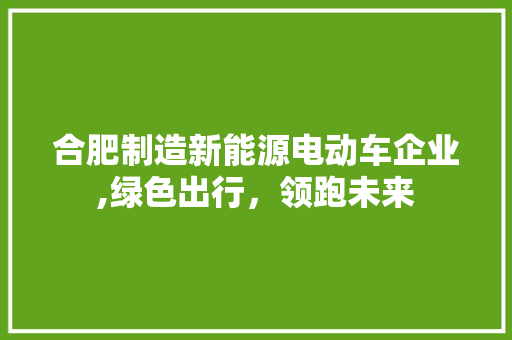 合肥制造新能源电动车企业,绿色出行，领跑未来  第1张