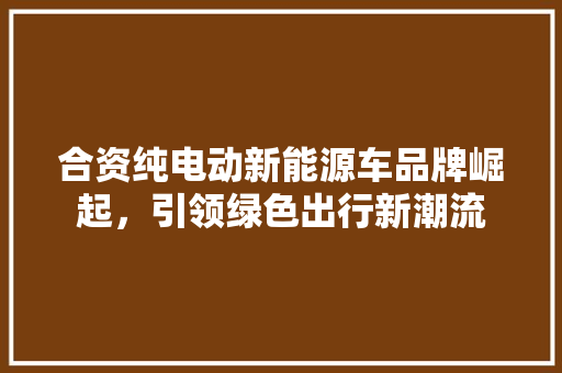 合资纯电动新能源车品牌崛起，引领绿色出行新潮流  第1张