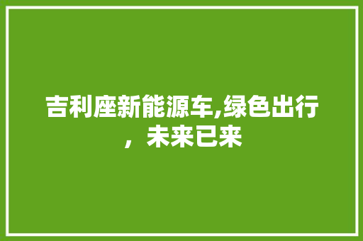 吉利座新能源车,绿色出行，未来已来  第1张