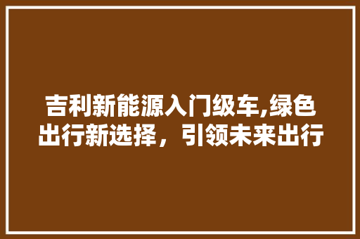 吉利新能源入门级车,绿色出行新选择，引领未来出行潮流  第1张