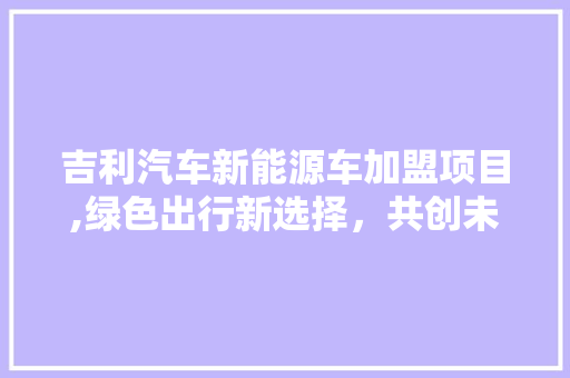 吉利汽车新能源车加盟项目,绿色出行新选择，共创未来美好蓝图  第1张