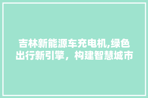 吉林新能源车充电机,绿色出行新引擎，构建智慧城市新篇章