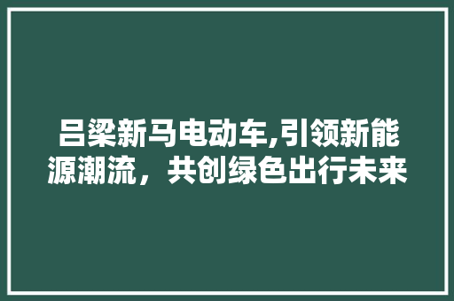 吕梁新马电动车,引领新能源潮流，共创绿色出行未来