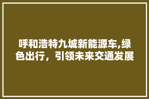 呼和浩特九城新能源车,绿色出行，引领未来交通发展  第1张