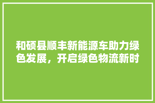 和硕县顺丰新能源车助力绿色发展，开启绿色物流新时代