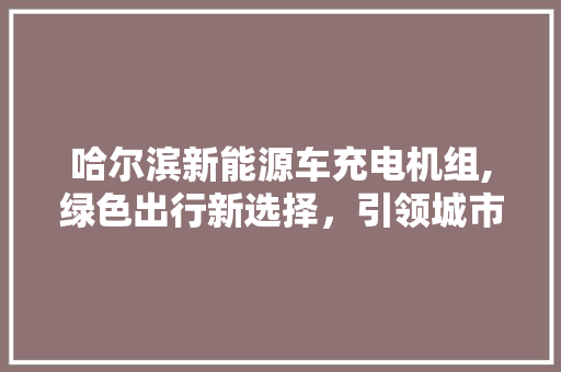 哈尔滨新能源车充电机组,绿色出行新选择，引领城市可持续发展  第1张