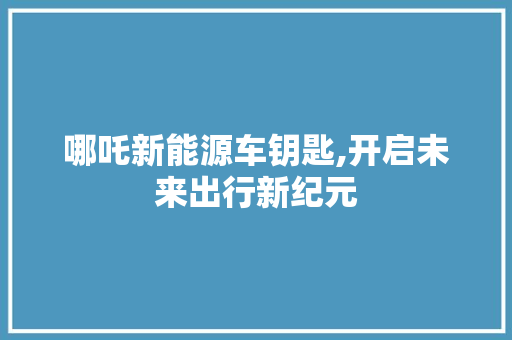 哪吒新能源车钥匙,开启未来出行新纪元  第1张