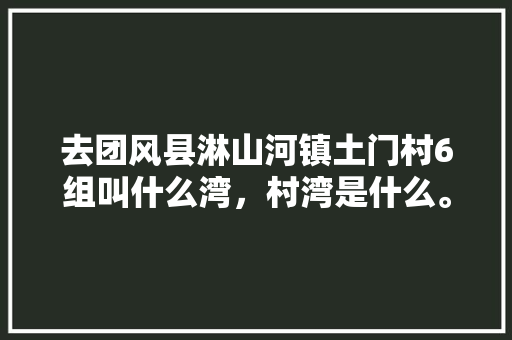 去团风县淋山河镇土门村6组叫什么湾，村湾是什么。