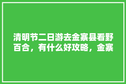 清明节二日游去金寨县看野百合，有什么好攻略，金寨马鬃岭旅游攻略一日游。