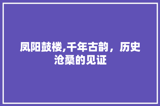 凤阳鼓楼,千年古韵，历史沧桑的见证