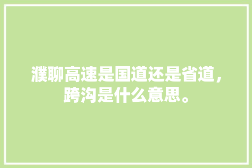 濮聊高速是国道还是省道，跨沟是什么意思。