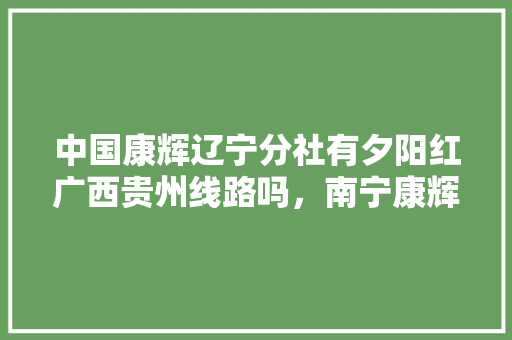 中国康辉辽宁分社有夕阳红广西贵州线路吗，南宁康辉旅游线路报价表。