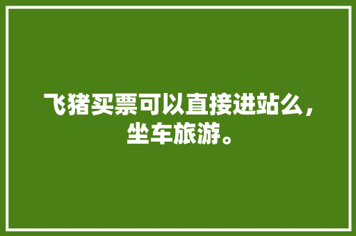 飞猪买票可以直接进站么，坐车旅游。  第1张