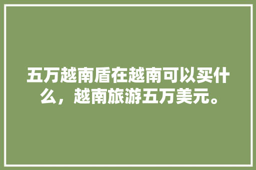 五万越南盾在越南可以买什么，越南旅游五万美元。