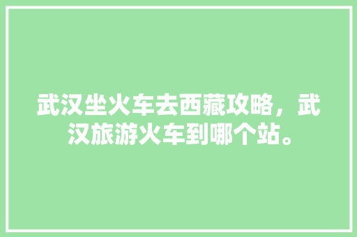 武汉坐火车去西藏攻略，武汉旅游火车到哪个站。