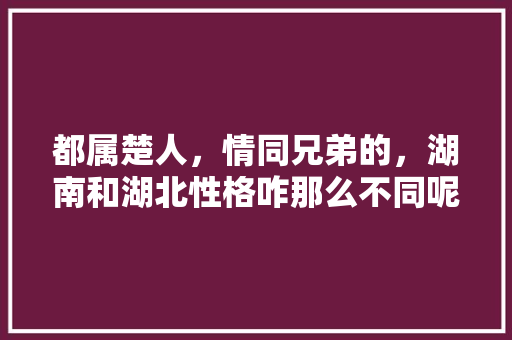 都属楚人，情同兄弟的，湖南和湖北性格咋那么不同呢，巴蜀情自助火锅烤肉怎么样。