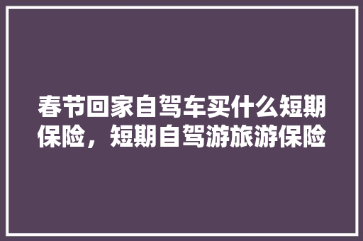 春节回家自驾车买什么短期保险，短期自驾游旅游保险怎么买。  第1张