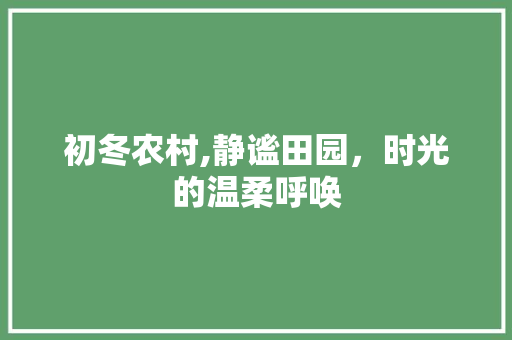 初冬农村,静谧田园，时光的温柔呼唤