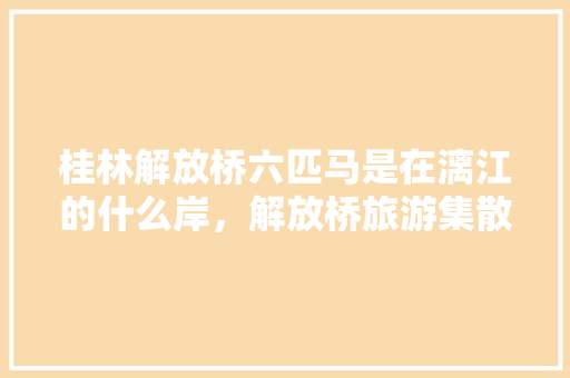 桂林解放桥六匹马是在漓江的什么岸，解放桥旅游集散中心 机场大巴。