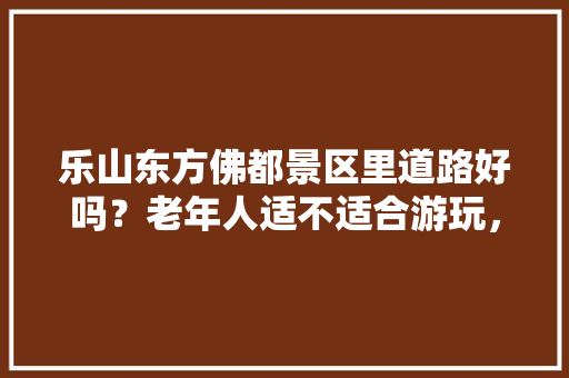 乐山东方佛都景区里道路好吗？老年人适不适合游玩，佛 旅游。