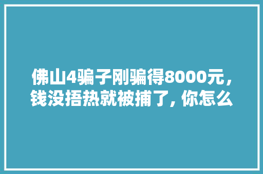 佛山4骗子刚骗得8000元，钱没捂热就被捕了, 你怎么看，佛山旅游骗局揭秘。