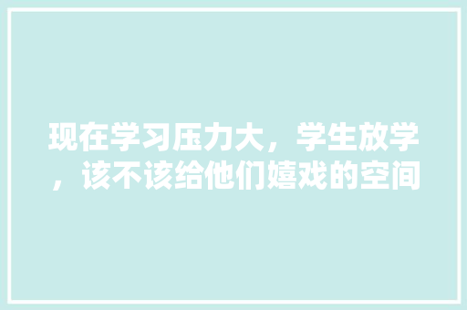 现在学习压力大，学生放学，该不该给他们嬉戏的空间，旅游老王。  第1张