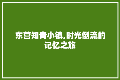 东营知青小镇,时光倒流的记忆之旅