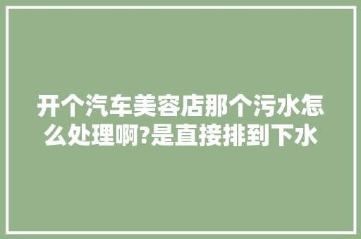 开个汽车美容店那个污水怎么处理啊?是直接排到下水道还是怎样?求大虾们帮忙，旅游定制要多少钱。