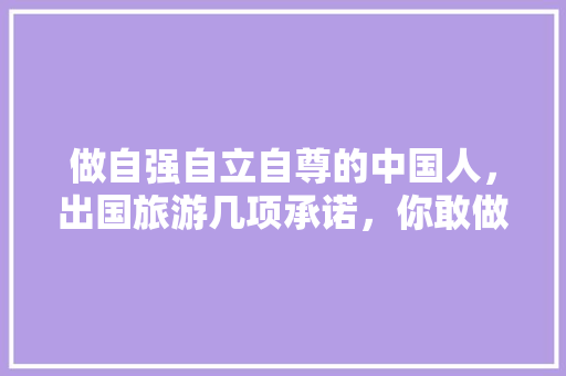 做自强自立自尊的中国人，出国旅游几项承诺，你敢做到几项，承诺旅行。