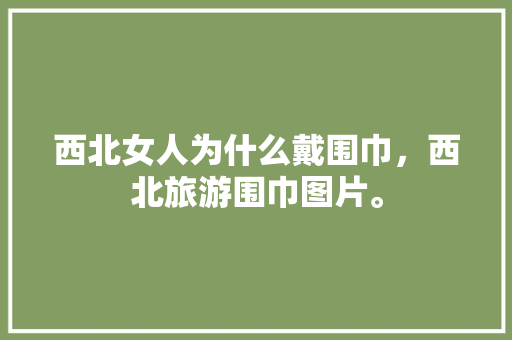 西北女人为什么戴围巾，西北旅游围巾图片。