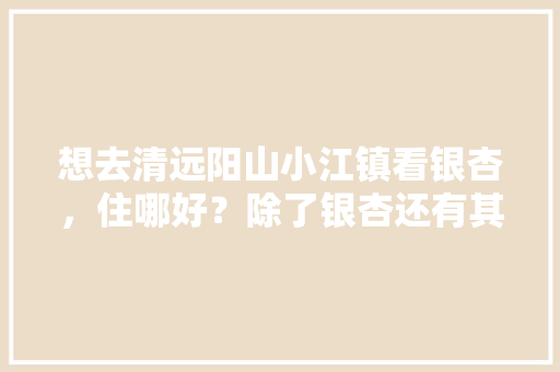 想去清远阳山小江镇看银杏，住哪好？除了银杏还有其他玩的吗？有什么当地美食推荐，清远旅游团二天一晚多少钱。