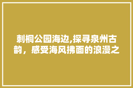 刺桐公园海边,探寻泉州古韵，感受海风拂面的浪漫之旅