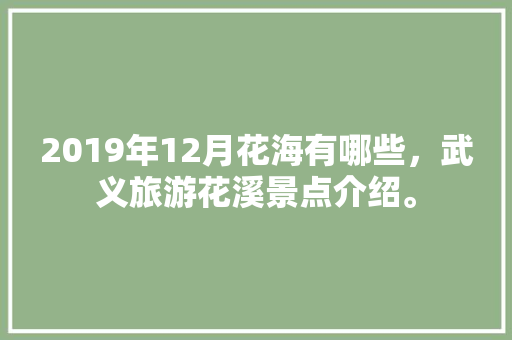 2019年12月花海有哪些，武义旅游花溪景点介绍。