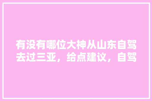 有没有哪位大神从山东自驾去过三亚，给点建议，自驾旅游挂车图片。  第1张