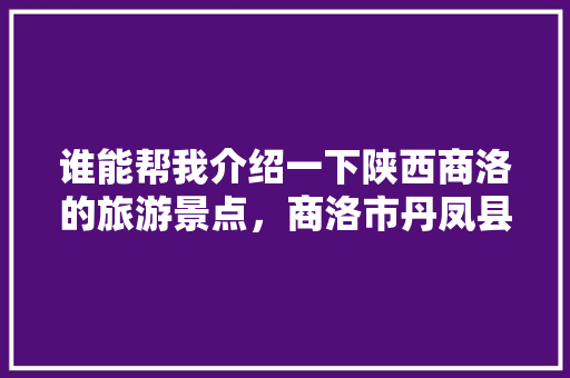 谁能帮我介绍一下陕西商洛的旅游景点，商洛市丹凤县旅游景点介绍。