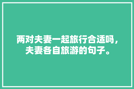 两对夫妻一起旅行合适吗，夫妻各自旅游的句子。