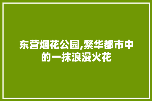 东营烟花公园,繁华都市中的一抹浪漫火花