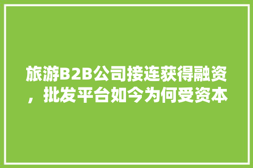 旅游B2B公司接连获得融资，批发平台如今为何受资本欢迎，旅游b2b系统。