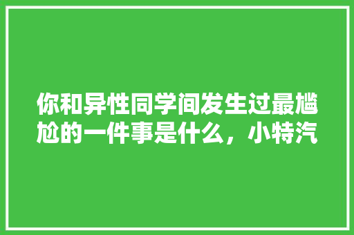 你和异性同学间发生过最尴尬的一件事是什么，小特汽车服务有限公司。  第1张