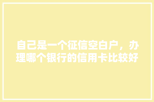 自己是一个征信空白户，办理哪个银行的信用卡比较好，国内旅游信用卡。