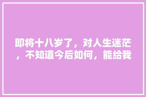 即将十八岁了，对人生迷茫，不知道今后如何，能给我点建议吗，雪梅风景。