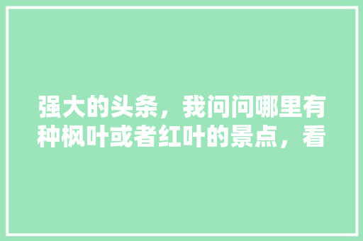 强大的头条，我问问哪里有种枫叶或者红叶的景点，看红叶的旅游景点叫什么。