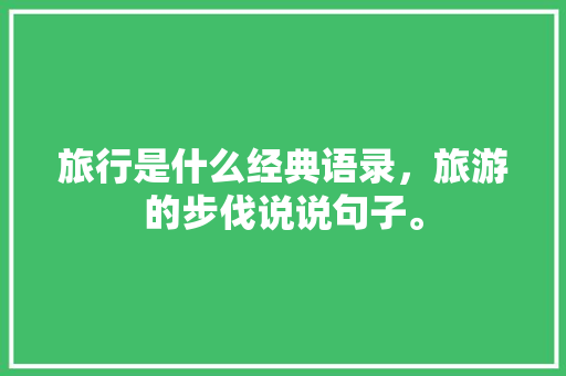 旅行是什么经典语录，旅游的步伐说说句子。