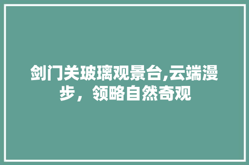 剑门关玻璃观景台,云端漫步，领略自然奇观