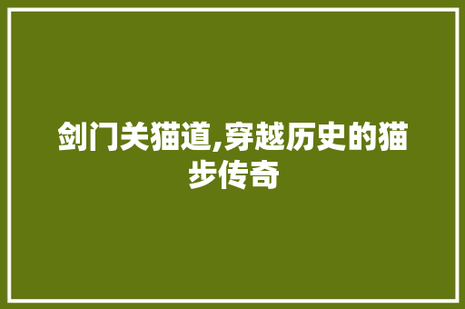 剑门关猫道,穿越历史的猫步传奇