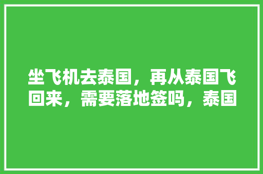 坐飞机去泰国，再从泰国飞回来，需要落地签吗，泰国旅游回国注意事项有哪些。