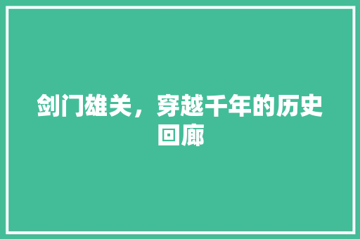 剑门雄关，穿越千年的历史回廊