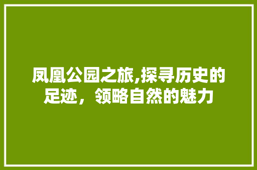 凤凰公园之旅,探寻历史的足迹，领略自然的魅力