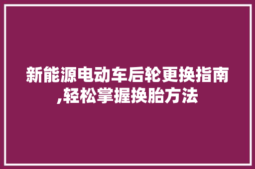 新能源电动车后轮更换指南,轻松掌握换胎方法