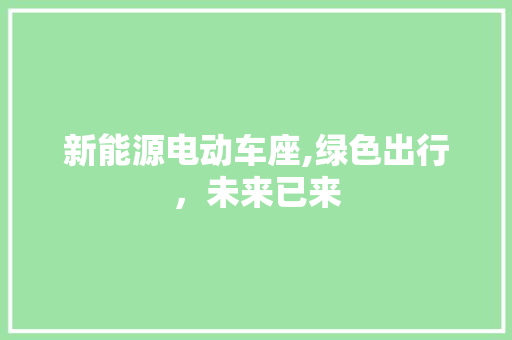 新能源电动车座,绿色出行，未来已来  第1张